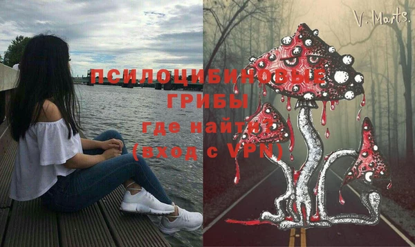 а пвп мука Магадан