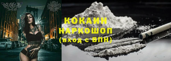 ГАЛЛЮЦИНОГЕННЫЕ ГРИБЫ Сясьстрой