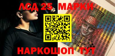 прущие грибы Брянск