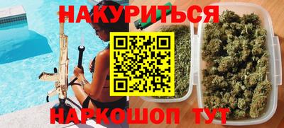 прущие грибы Брянск