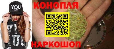 прущие грибы Брянск