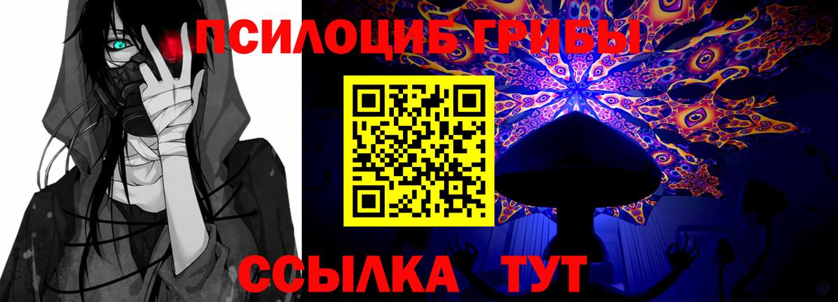 Галлюциногенные грибы прущие грибы Черногорск
